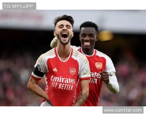 谢菲联与布伦特精彩对决直播全程回顾及赛后分析